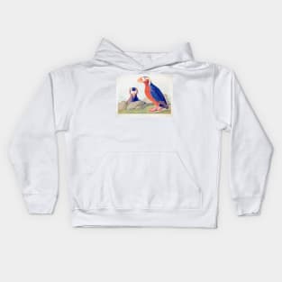 John Audubon Reimagined - Auk Kids Hoodie